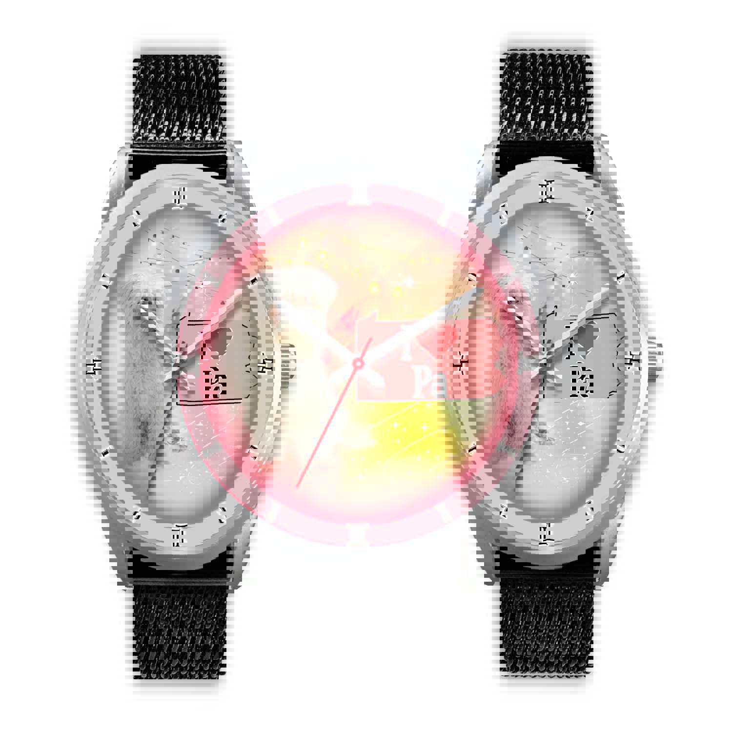 Meltese Dog Pennsylvania Christmas Special Wrist Watch