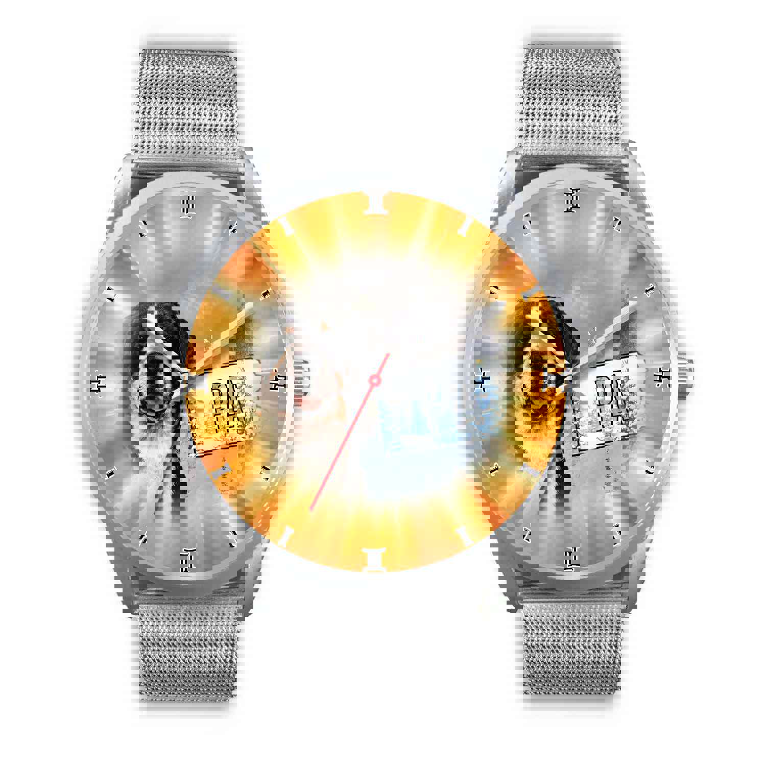 Greater Swiss Mountain Dog Pennsylvania Christmas Special Wrist Watch