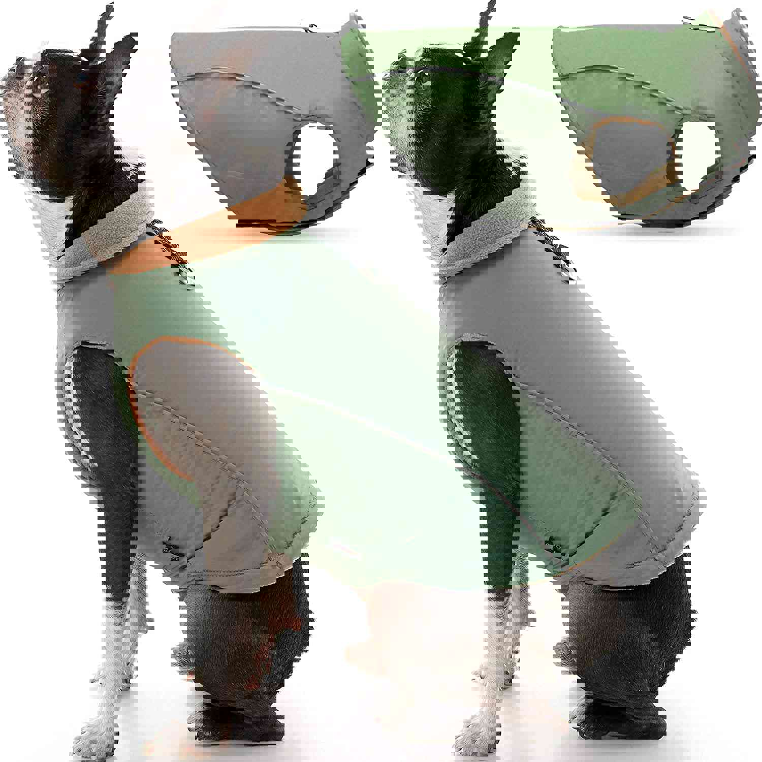 Feeke Sports Vest Dog Jacket - Reflective Fleece-Lined Vest for Small Dogs