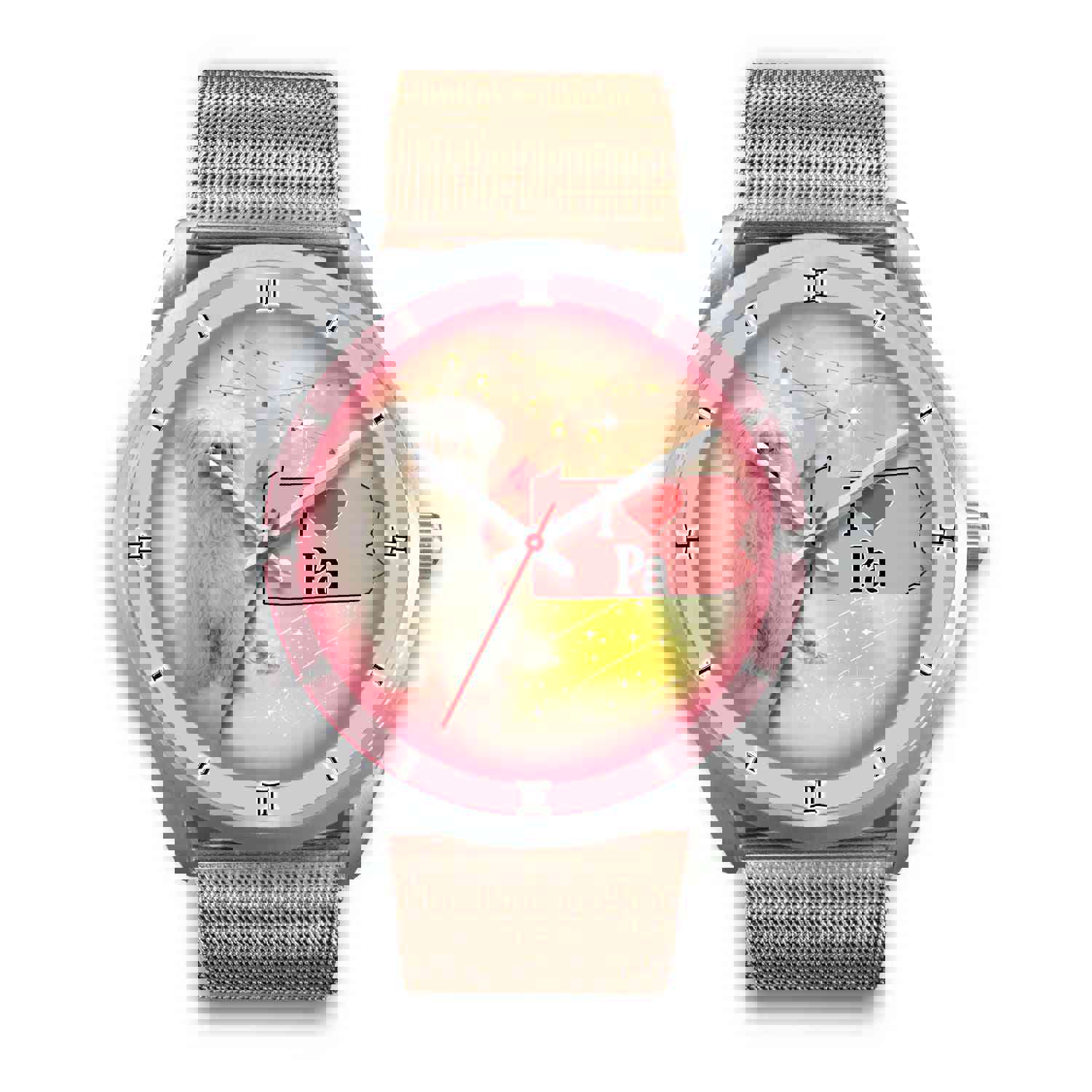 Meltese Dog Pennsylvania Christmas Special Wrist Watch