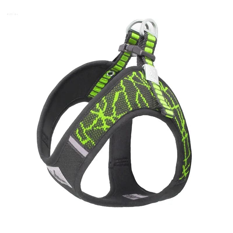 Comfortable Dog Leash & Harness Set for Small and Medium Dogs