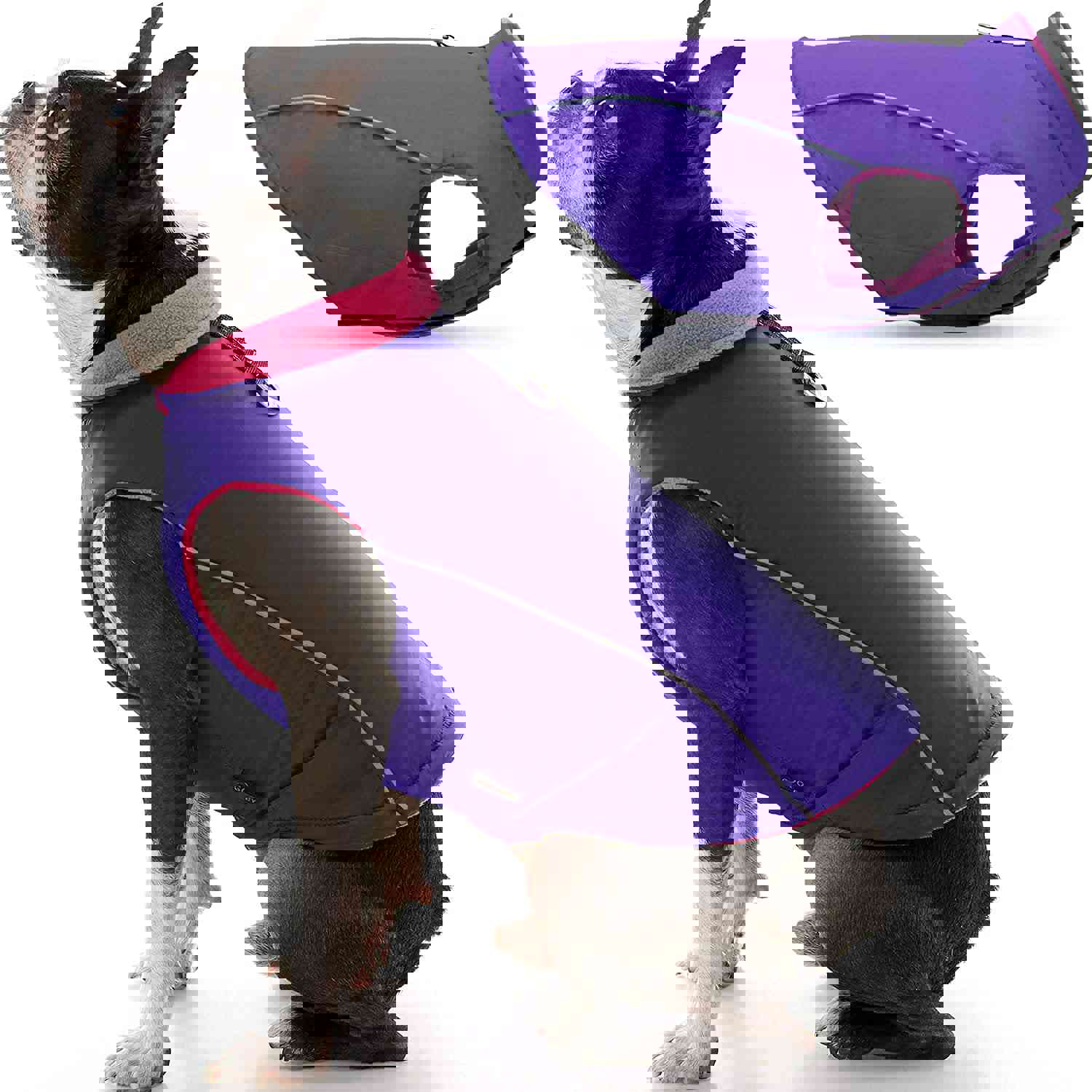 Feeke Sports Vest Dog Jacket - Reflective Fleece-Lined Vest for Small Dogs