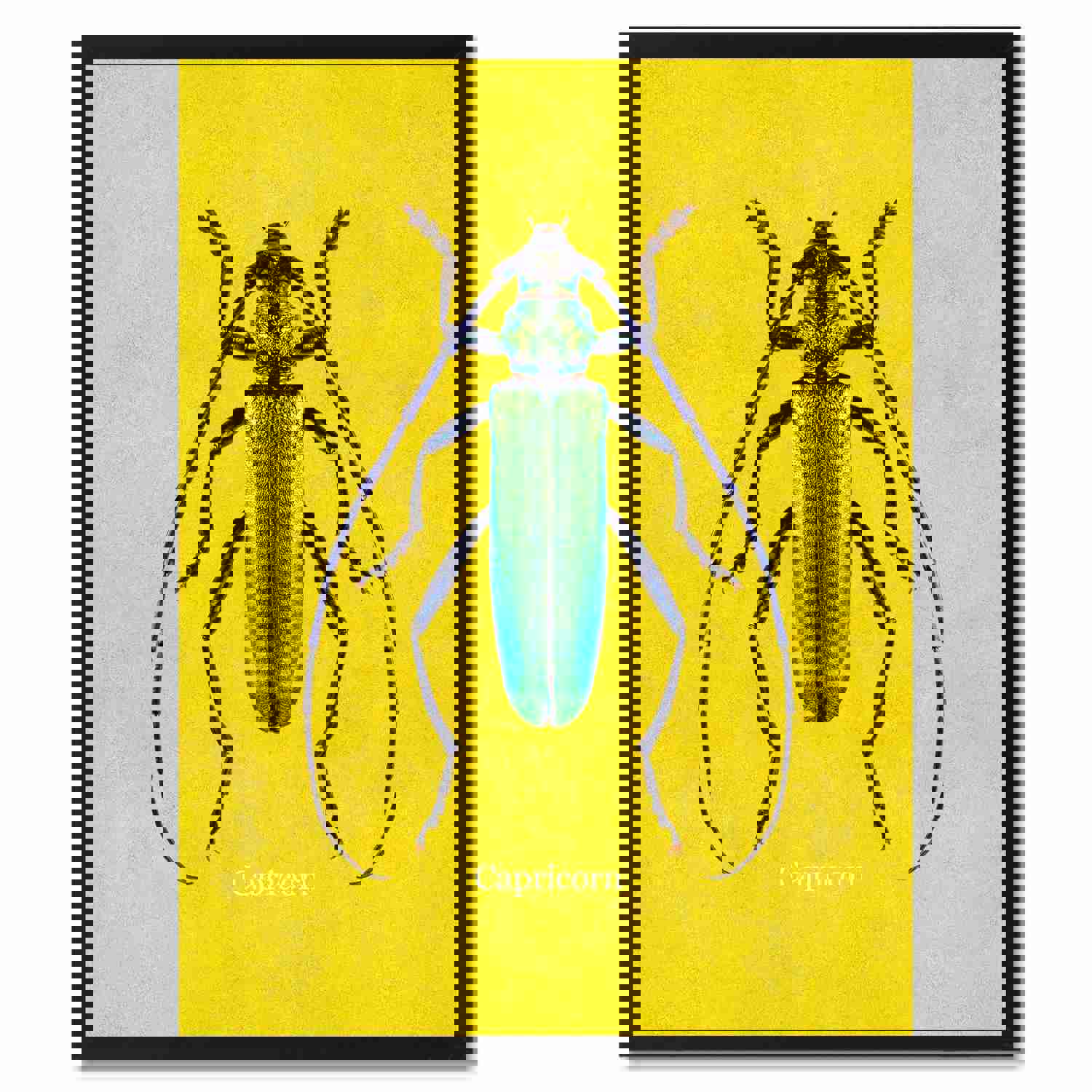 Capricorn Yellow Canvas Print - Picture Frames Home Decor Wall Art Gifts
