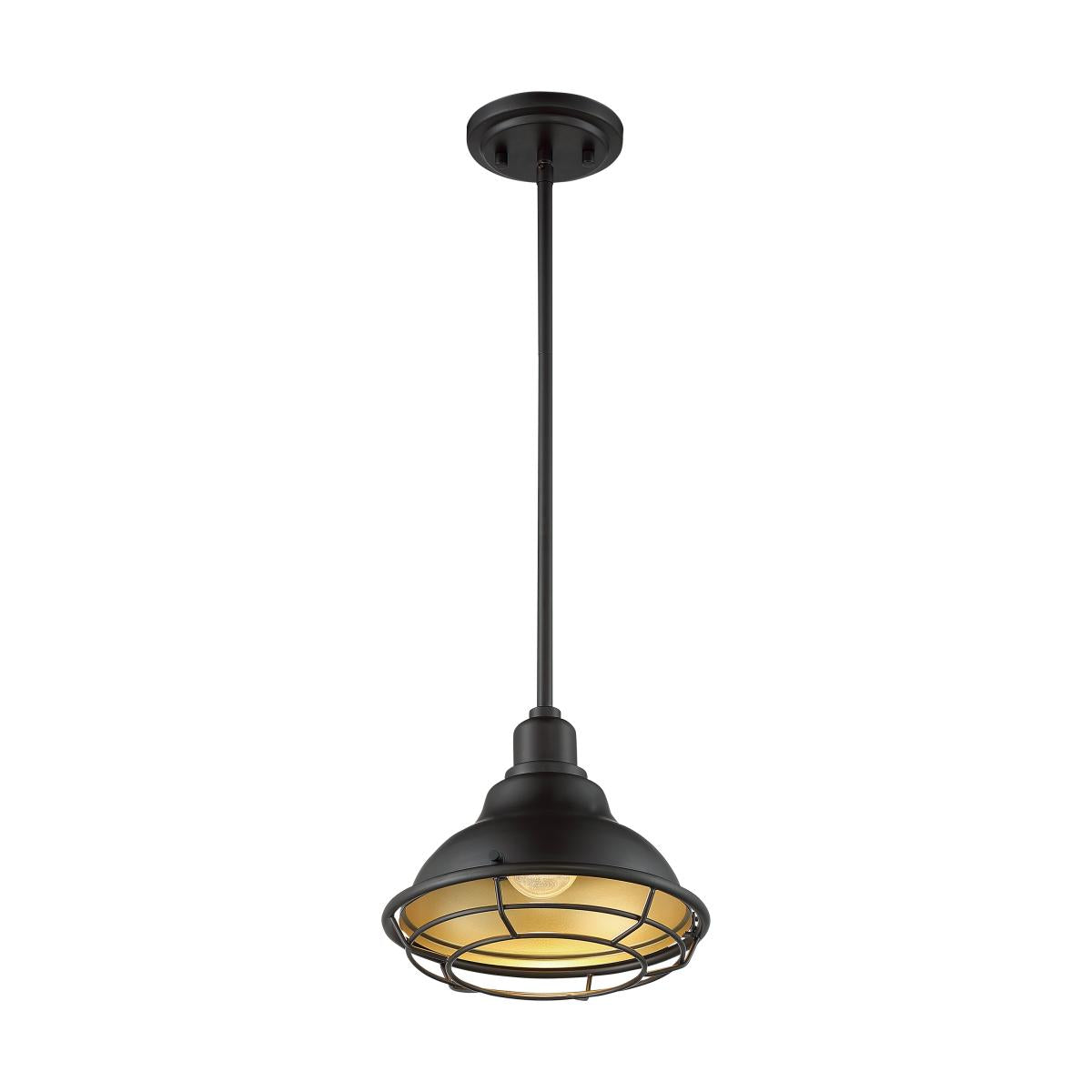 60-7013 NEWBRIDGE 1LT SMALL PENDANT - Dark Bronze and Gold Finish