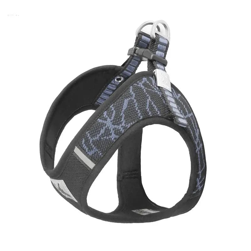 Comfortable Dog Leash & Harness Set for Small and Medium Dogs