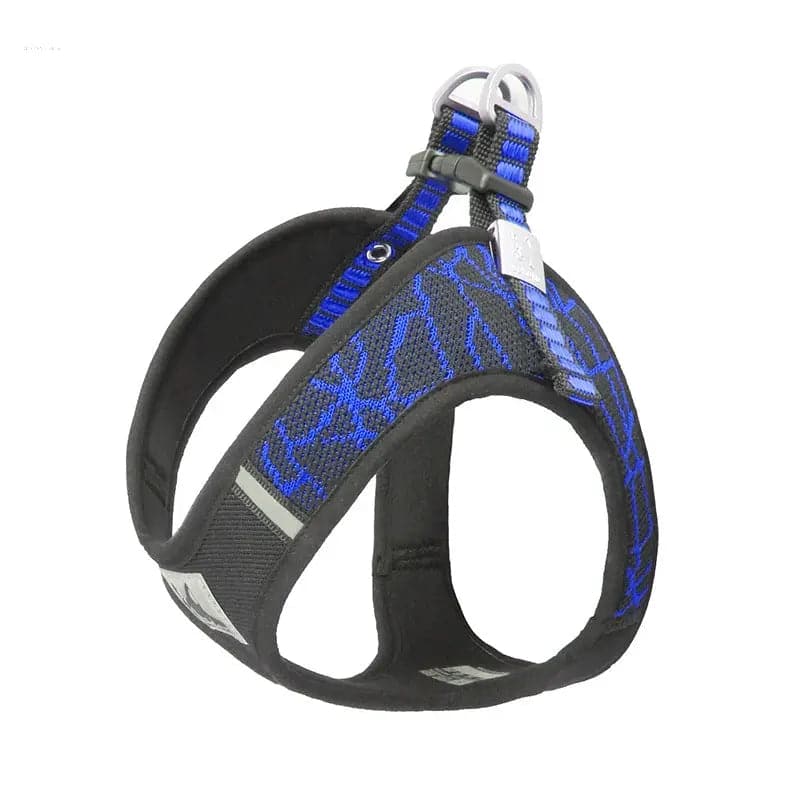 Comfortable Dog Leash & Harness Set for Small and Medium Dogs