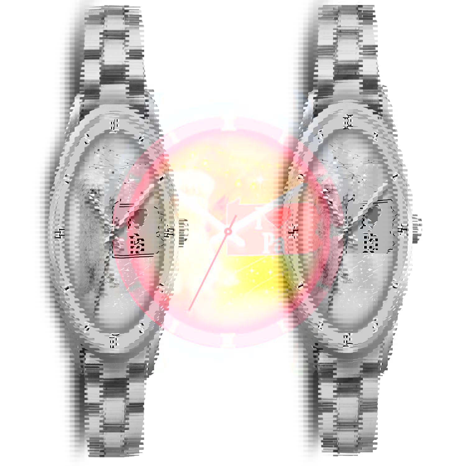 Meltese Dog Pennsylvania Christmas Special Wrist Watch