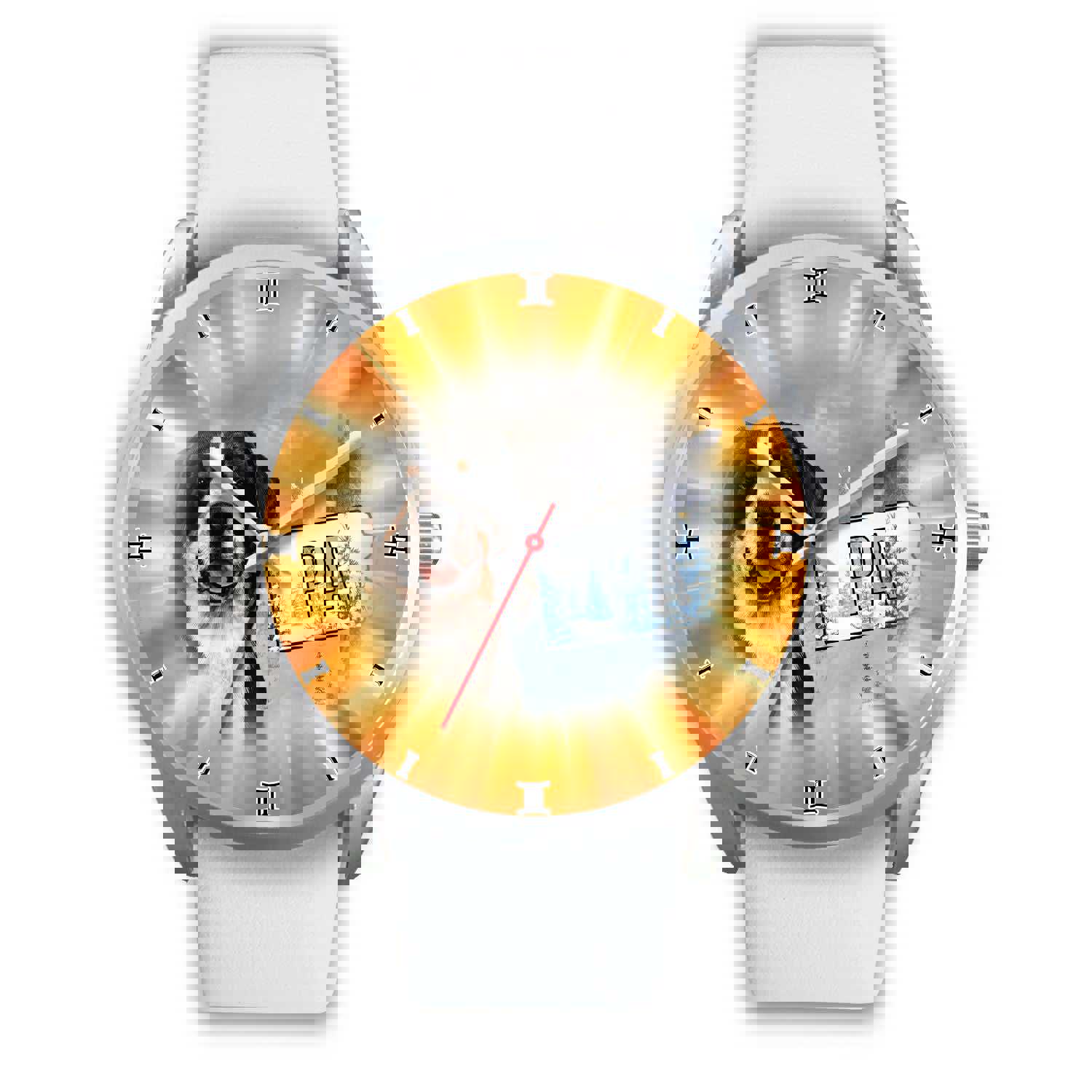 Greater Swiss Mountain Dog Pennsylvania Christmas Special Wrist Watch