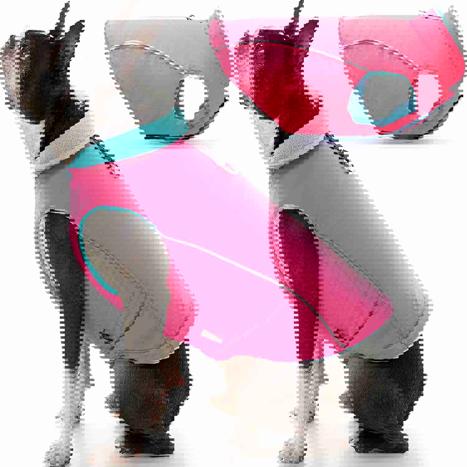 Feeke Sports Vest Dog Jacket - Reflective Fleece-Lined Vest for Small Dogs