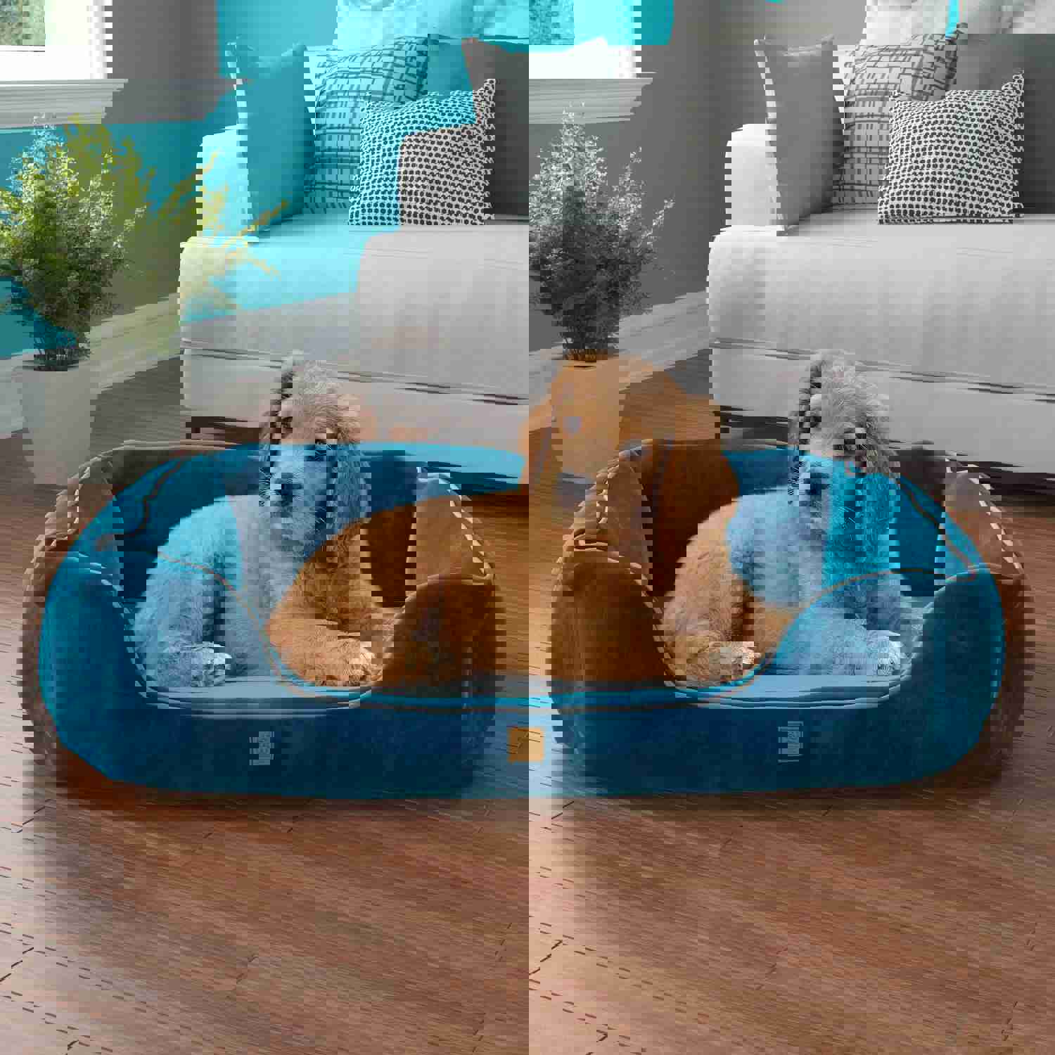 Pup Pup Kitti Heavenly Orthopedic Pet Lounger with NoFom Cushion Technology - Medium, Blue