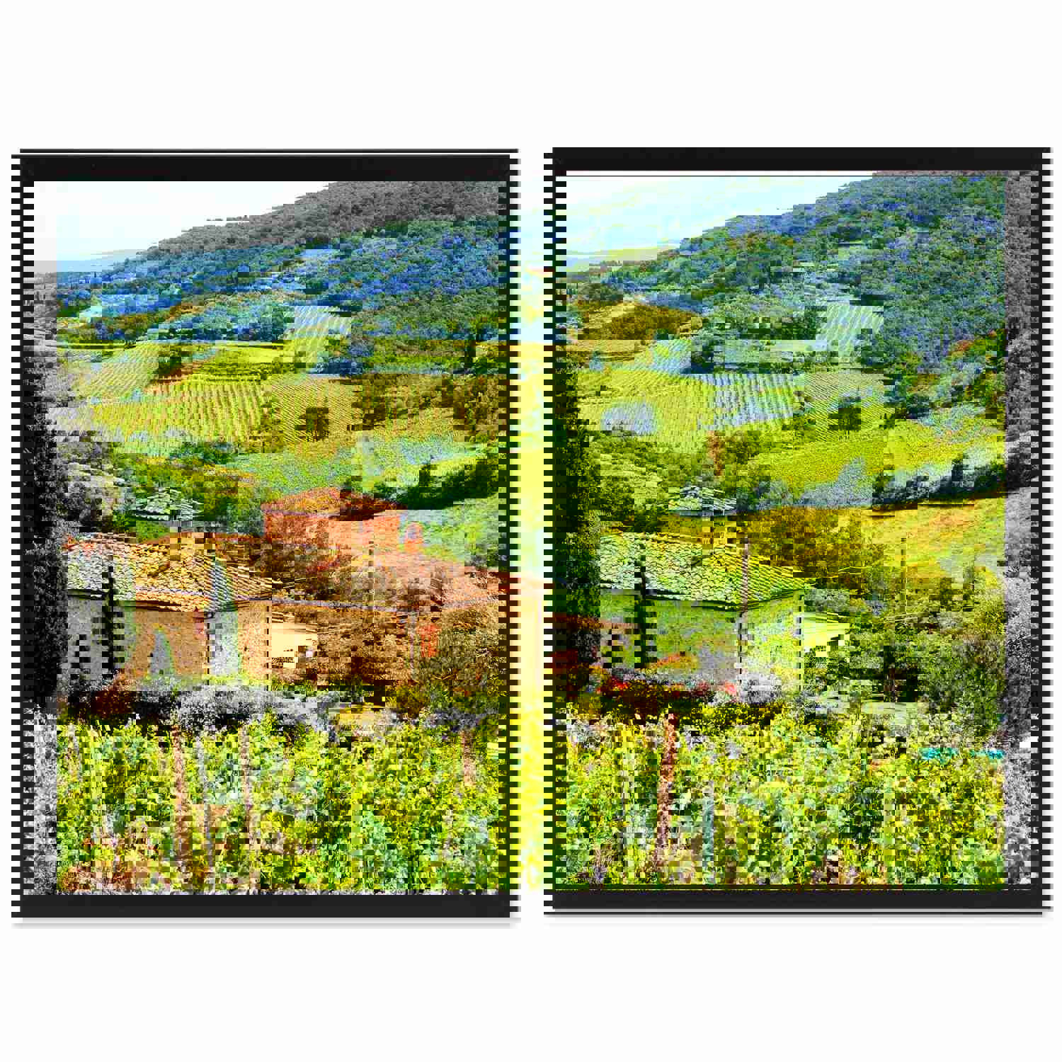Vineyard Tuscany Italy Landscape Photo Canvas Print - Home Décor Wall Art