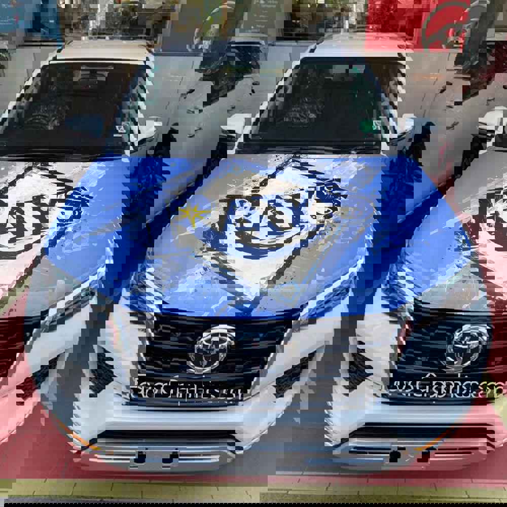 Tampa Bay Rays Itasha Car Vinyl Hood Wrap Decal Sticker