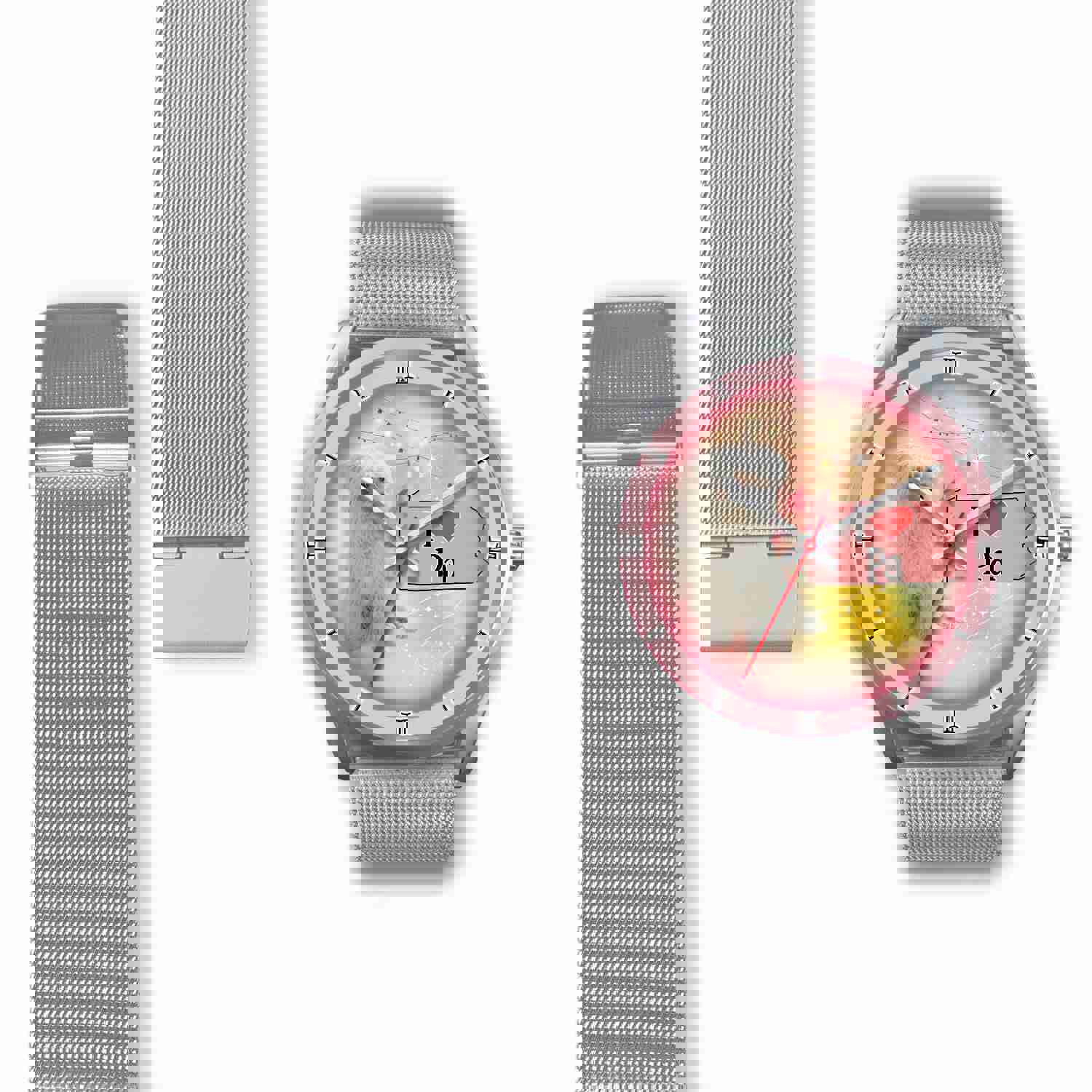 Meltese Dog Pennsylvania Christmas Special Wrist Watch