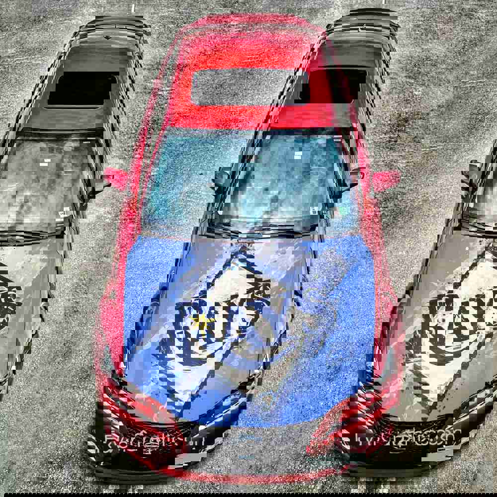 Tampa Bay Rays Itasha Car Vinyl Hood Wrap Decal Sticker
