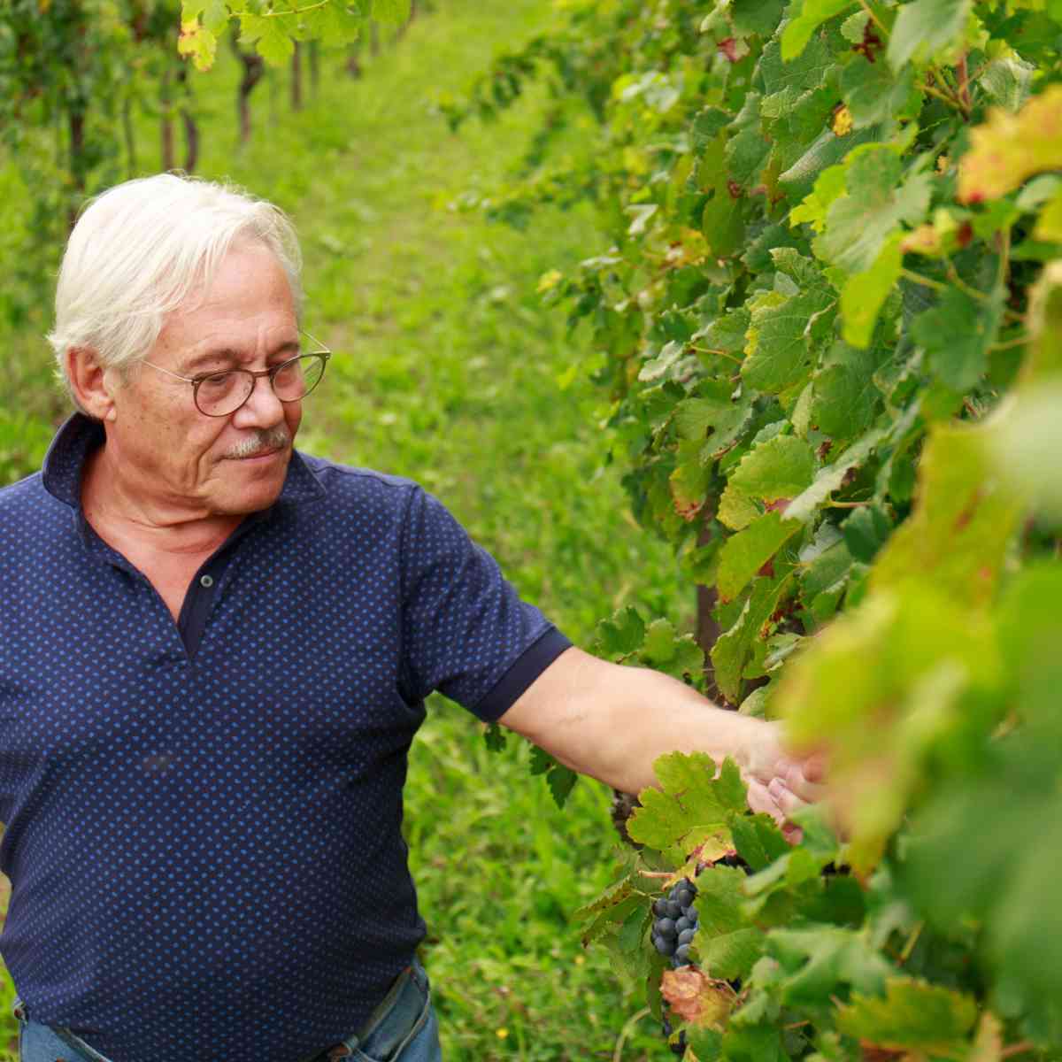 Friuli Italian Wine Dinner at The Tasting Kitchen