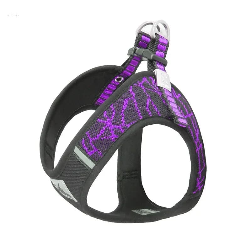 Comfortable Dog Leash & Harness Set for Small and Medium Dogs