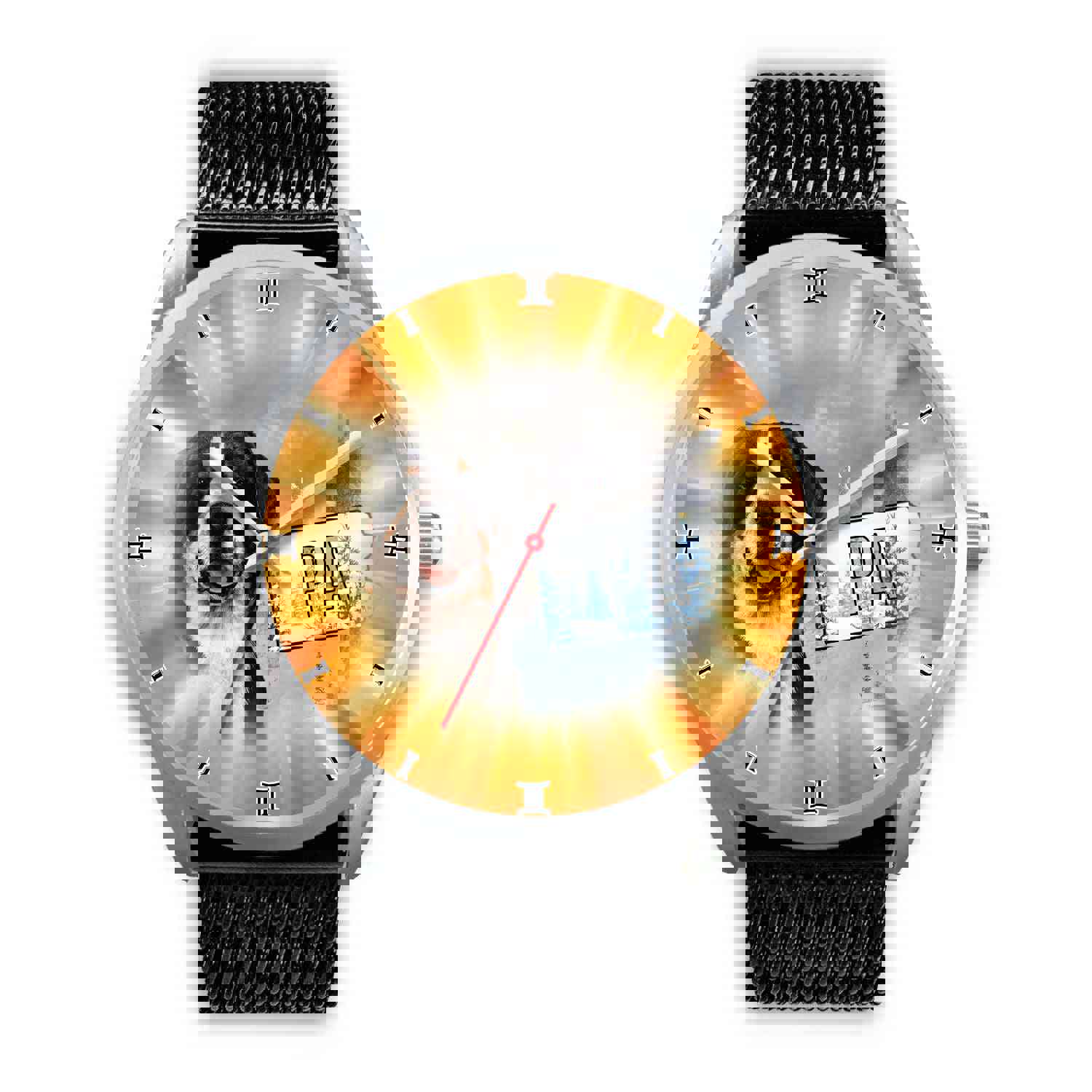 Greater Swiss Mountain Dog Pennsylvania Christmas Special Wrist Watch