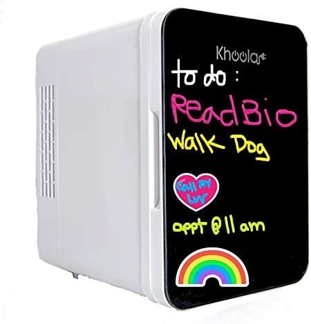 Mini Fridge for Skincare, Medical Use, and More