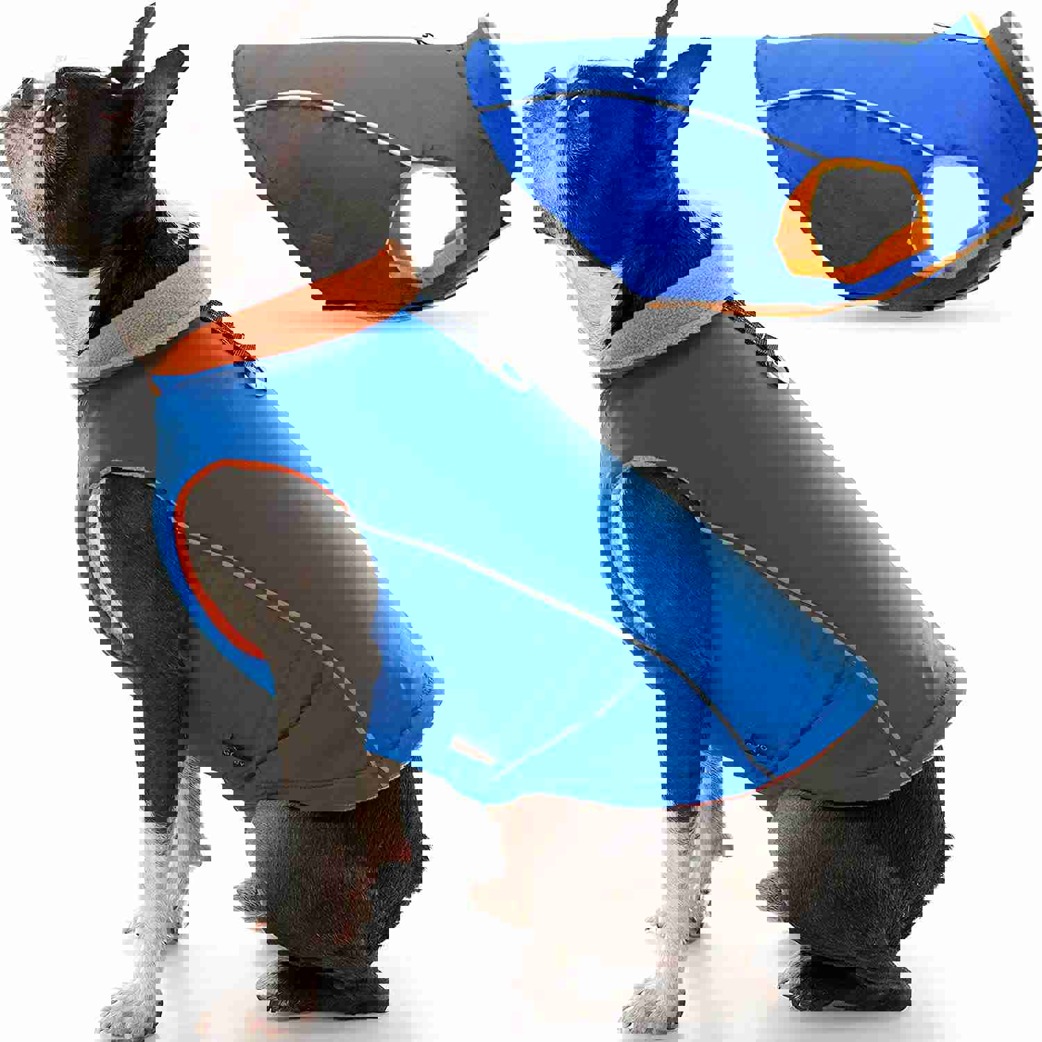 Feeke Sports Vest Dog Jacket - Reflective Fleece-Lined Vest for Small Dogs