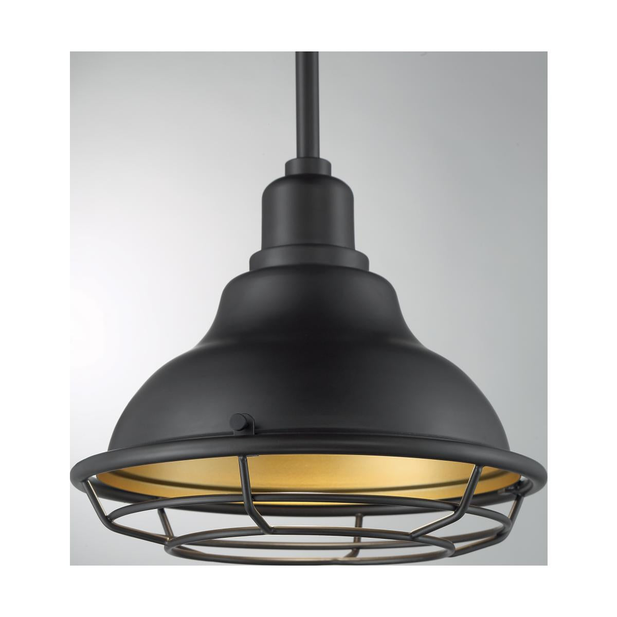 60-7013 NEWBRIDGE 1LT SMALL PENDANT - Dark Bronze and Gold Finish