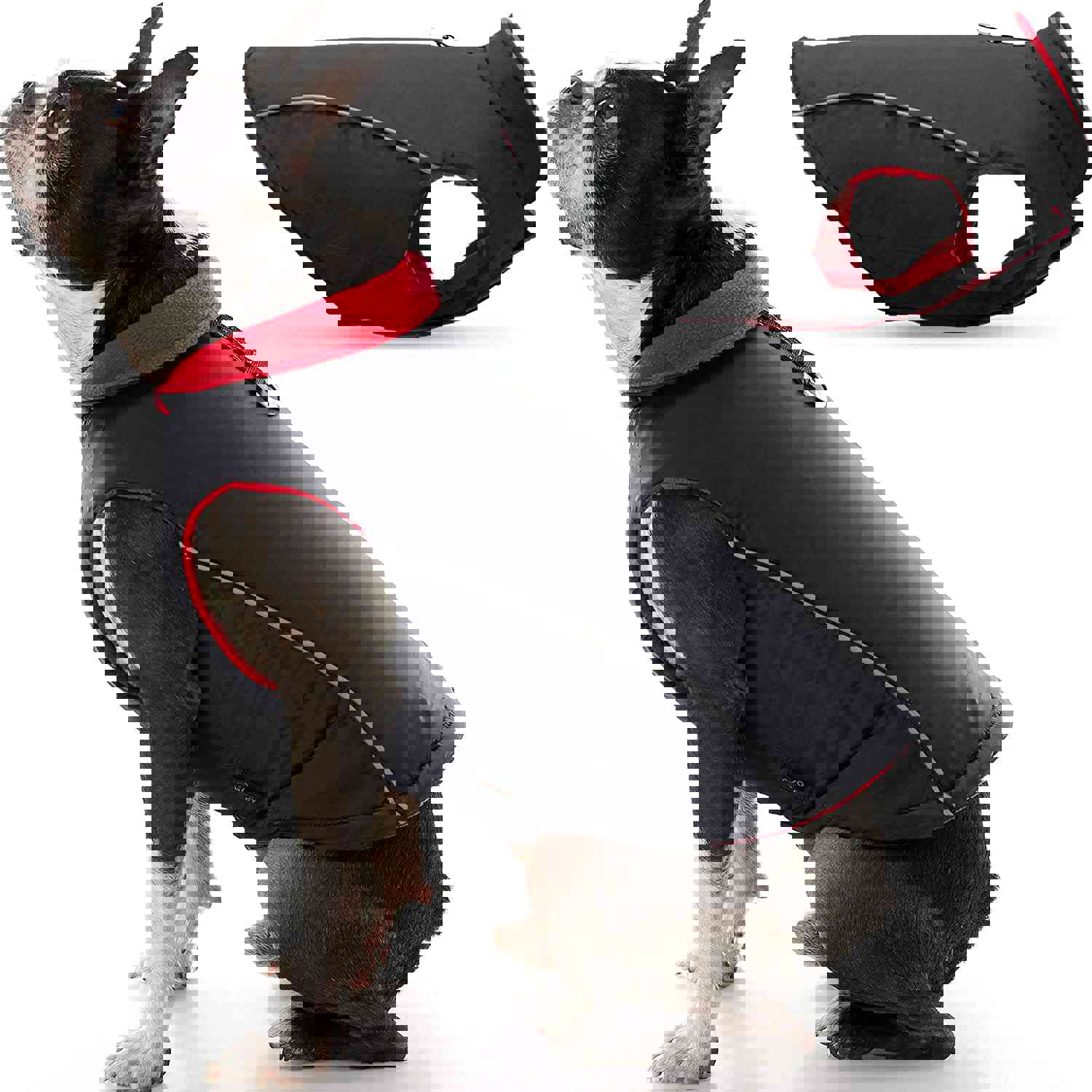 Feeke Sports Vest Dog Jacket - Reflective Fleece-Lined Vest for Small Dogs