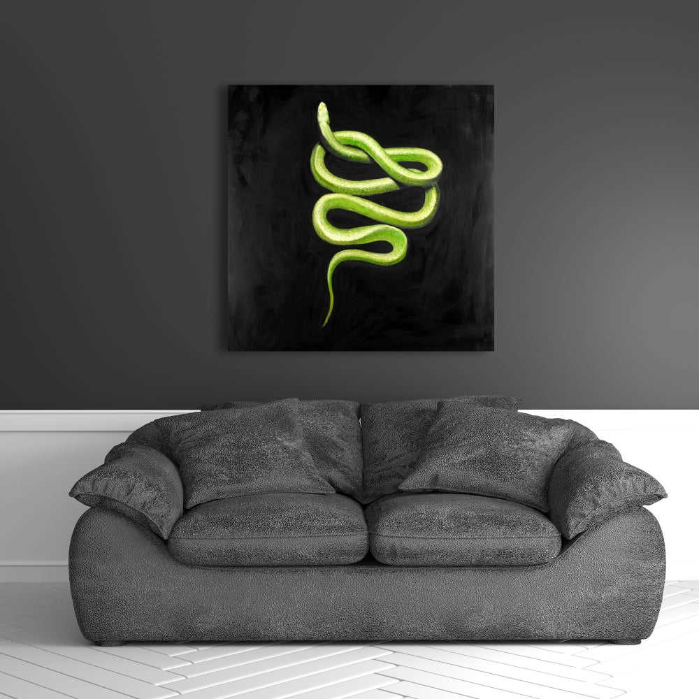 Green Snake Fine Art Gallery Wrapped Canvas 36x36