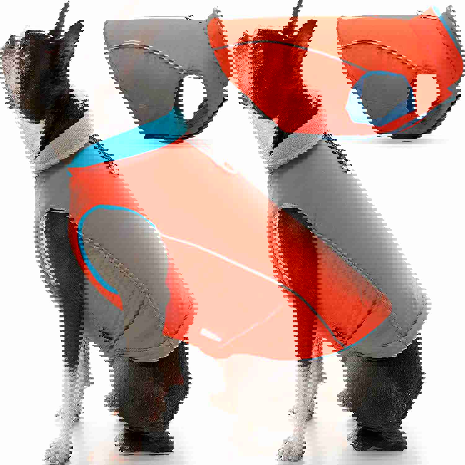 Feeke Sports Vest Dog Jacket - Reflective Fleece-Lined Vest for Small Dogs