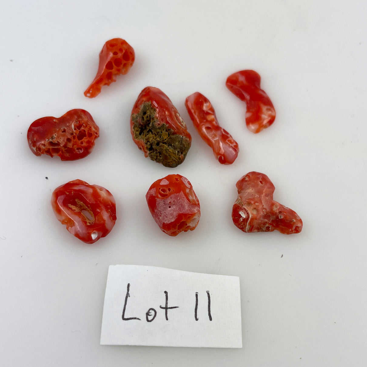 Natural Italian Red Coral Cabochons Lot - Vintage Free Form Coral Pieces