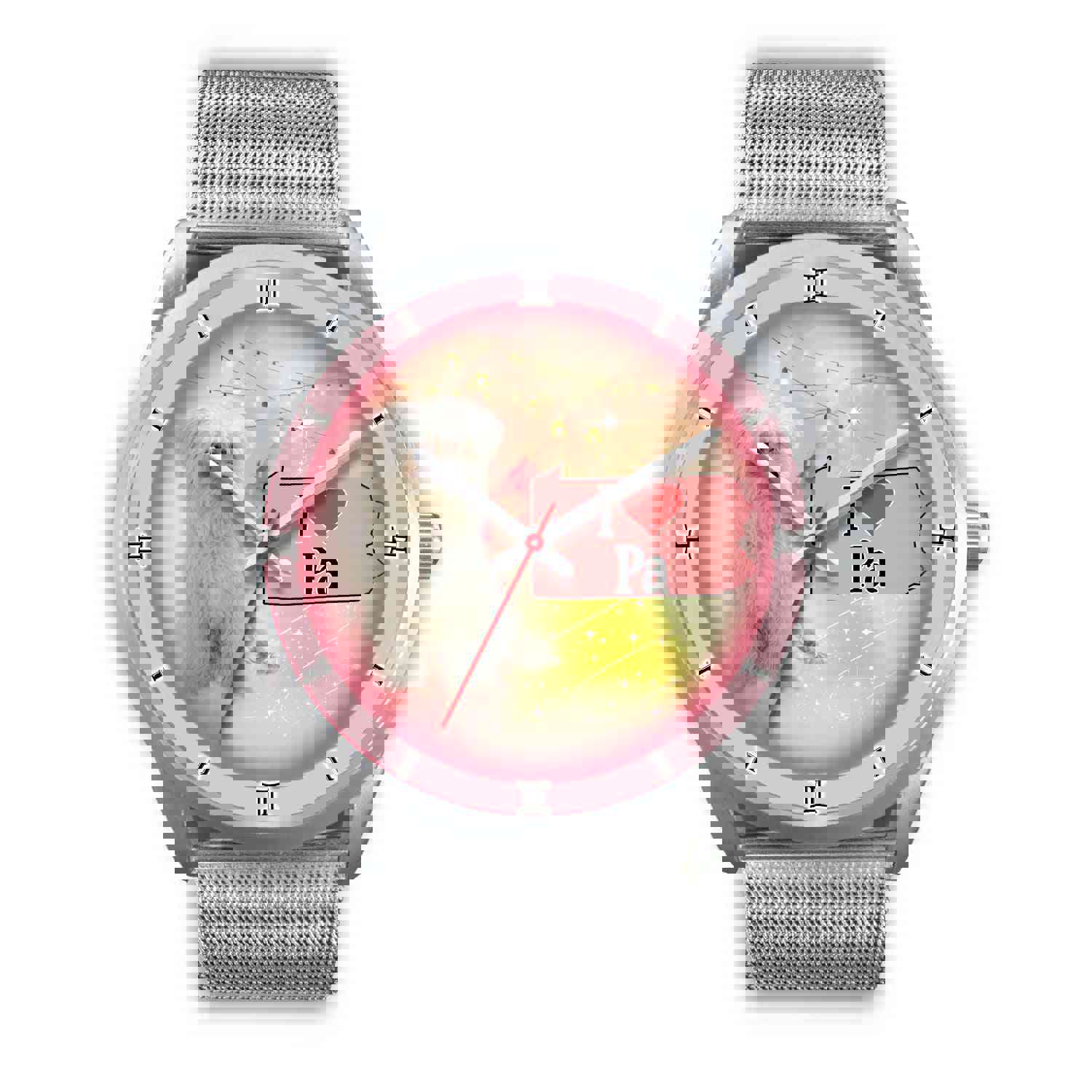 Meltese Dog Pennsylvania Christmas Special Wrist Watch