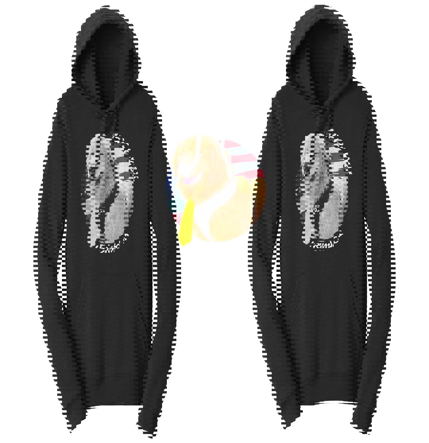 Mayor Max USA Flag Circle - Adult Unisex Hoodie Sweatshirt