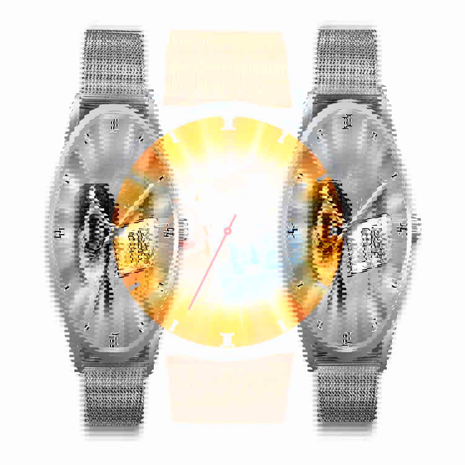 Greater Swiss Mountain Dog Pennsylvania Christmas Special Wrist Watch