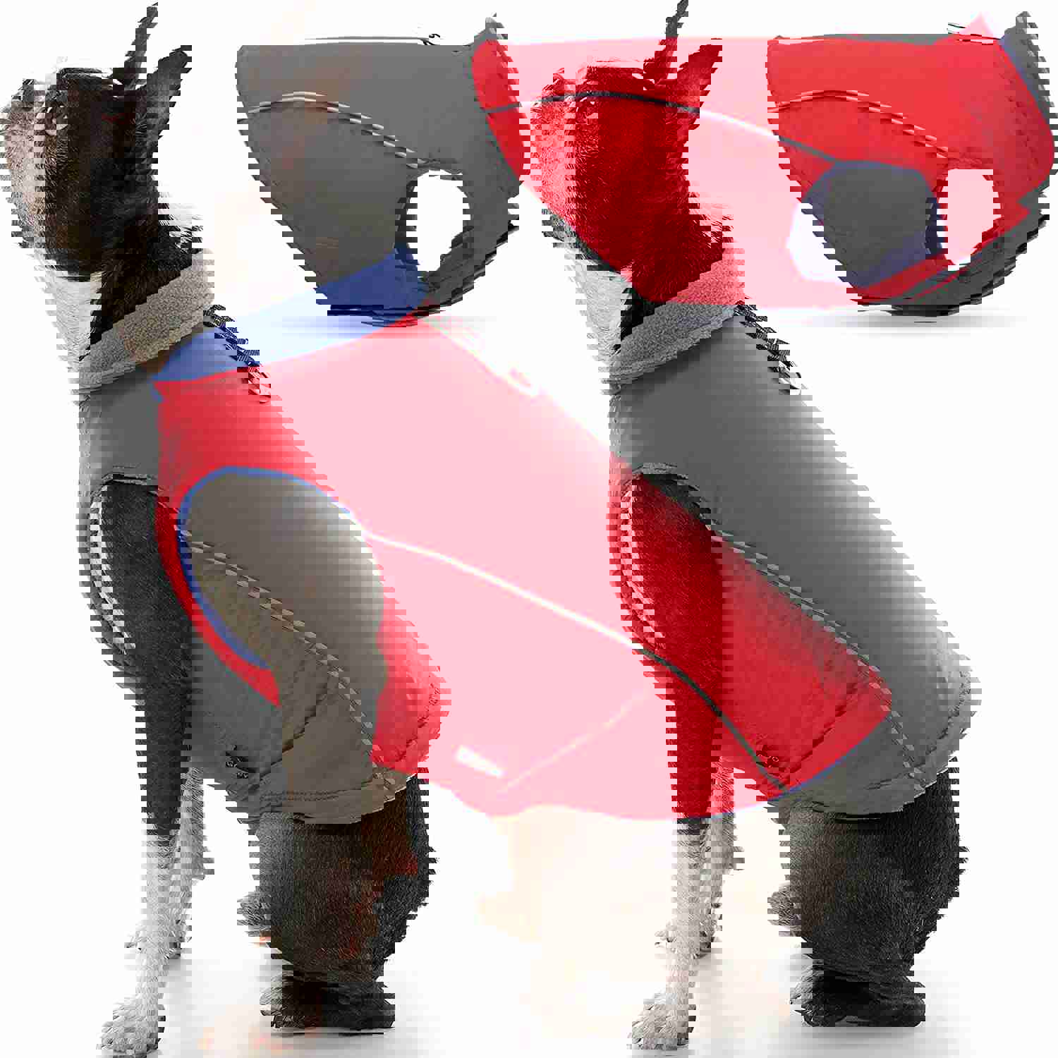 Feeke Sports Vest Dog Jacket - Reflective Fleece-Lined Vest for Small Dogs