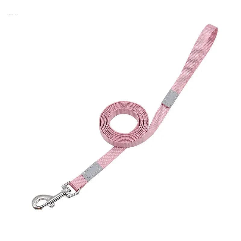 Reflective Colored Dog Leash for Safe and Stylish Walks
