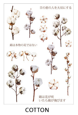 Clear Flowers Sticker Sheet