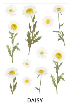 Clear Flowers Sticker Sheet