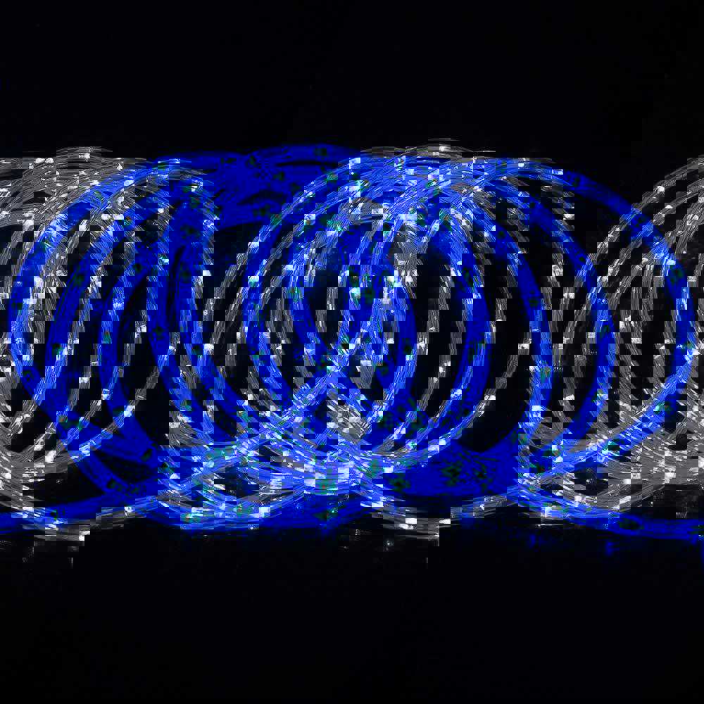 Ainfox 110V 100 Ft. 2 Wire LED Rope Lights Strip - Waterproof for Indoor & Outdoor Use (Blue)