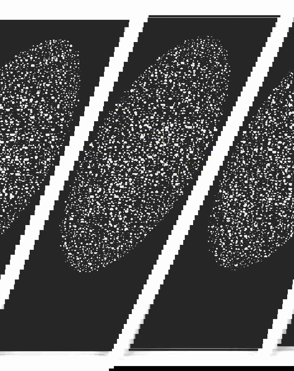 Natural Curiosities Orbus Major 1 Art - Custom 3D Orb Artwork