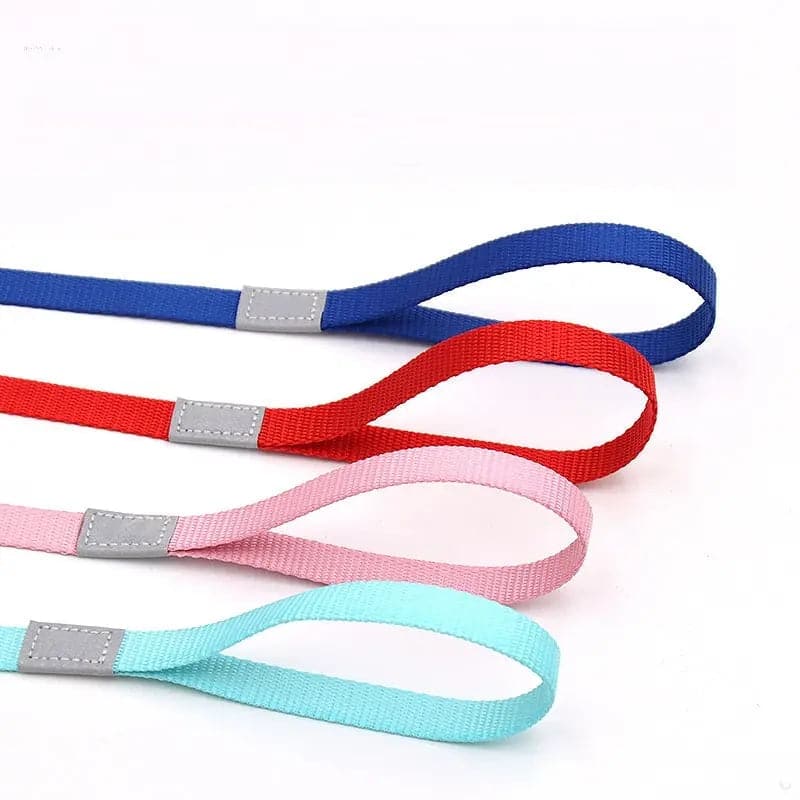 Reflective Colored Dog Leash for Safe and Stylish Walks
