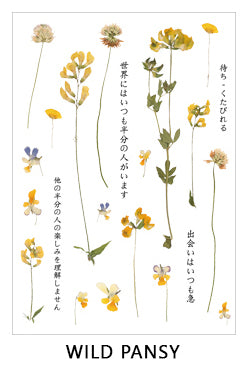 Clear Flowers Sticker Sheet