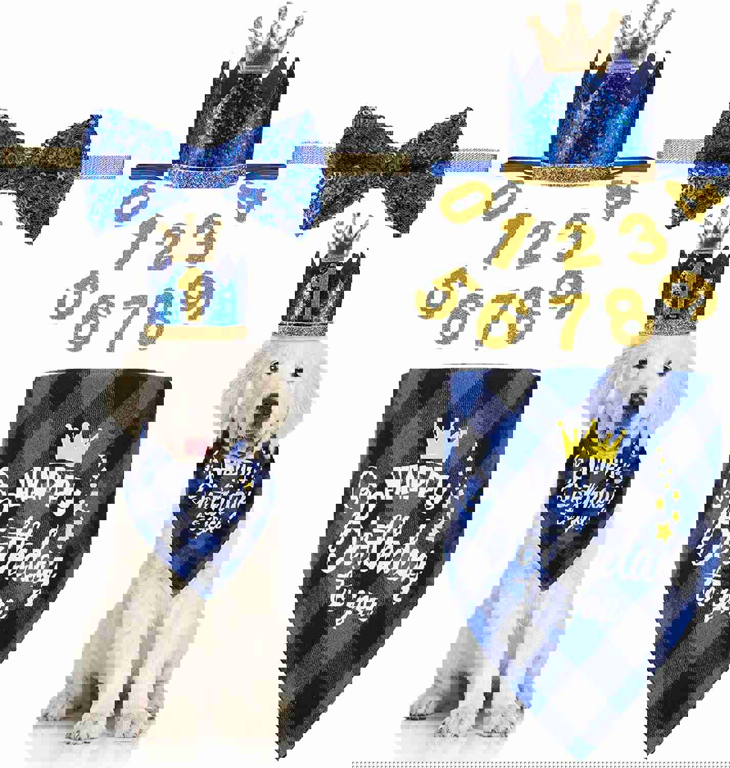 Dog Birthday Party Accessories Set - Bandana, Crown Hat, Bow Tie with 0-9 Figures for Small to Medium Pets (Blue)