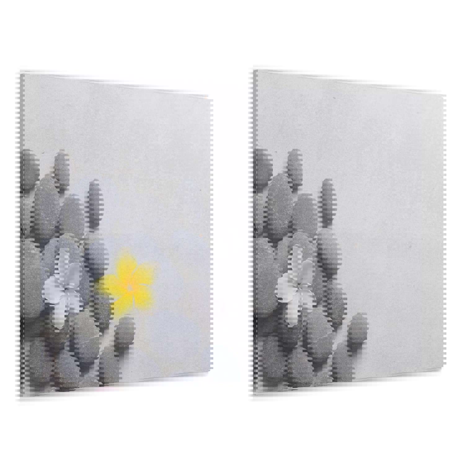 Frangipani and Zen Stones Forest Floral Nature Photography Canvas Wall Art - Ready-to-Hang Home Decor
