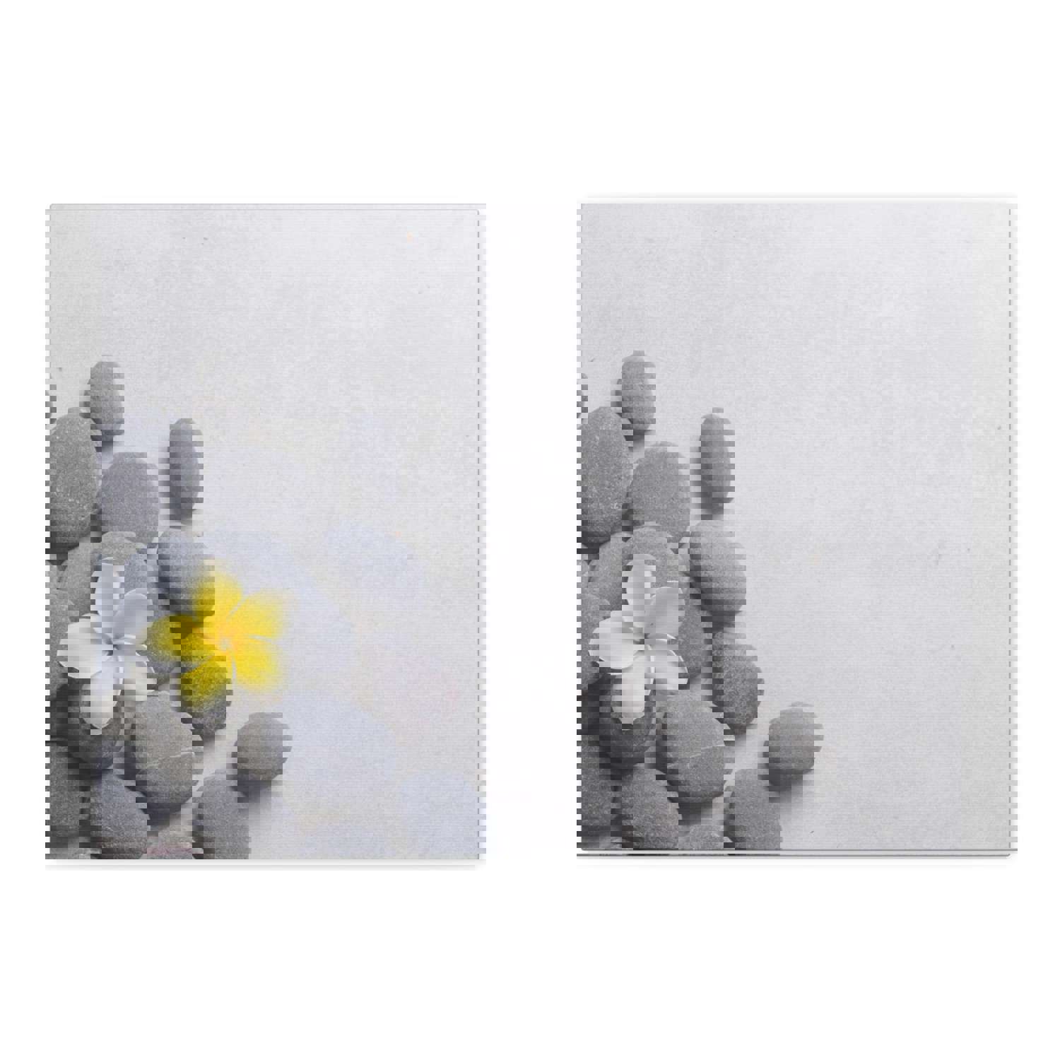 Frangipani and Zen Stones Forest Floral Nature Photography Canvas Wall Art - Ready-to-Hang Home Decor