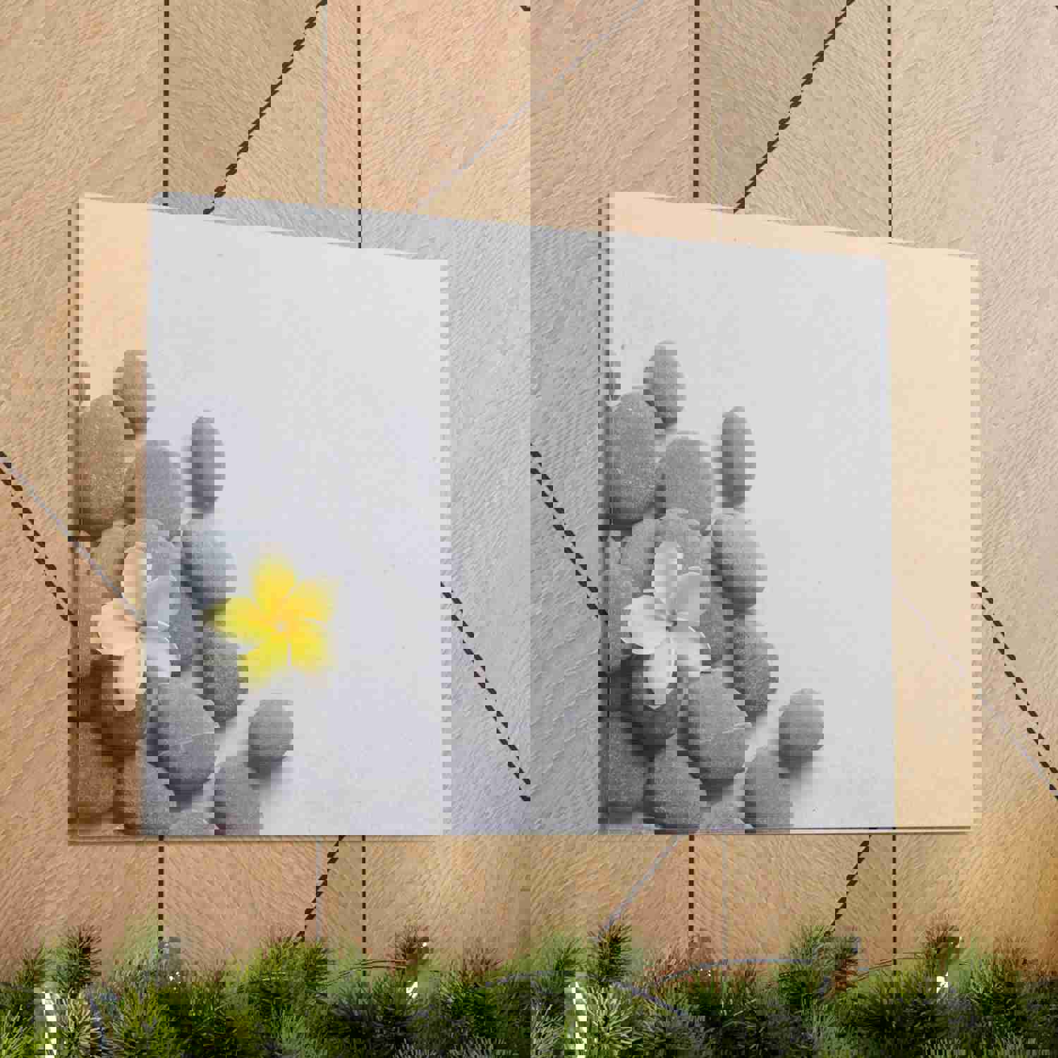 Frangipani and Zen Stones Forest Floral Nature Photography Canvas Wall Art - Ready-to-Hang Home Decor