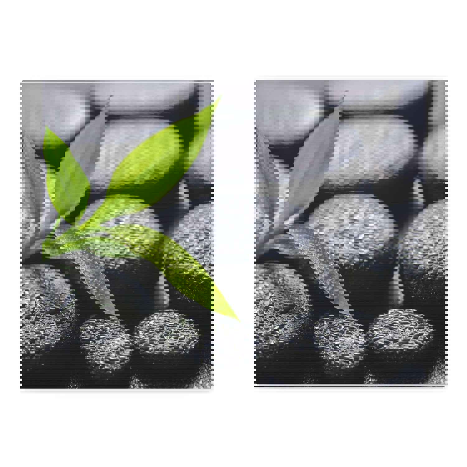 Bamboo on Zen Basalt Forest Floral Nature Photography Canvas Wall Art