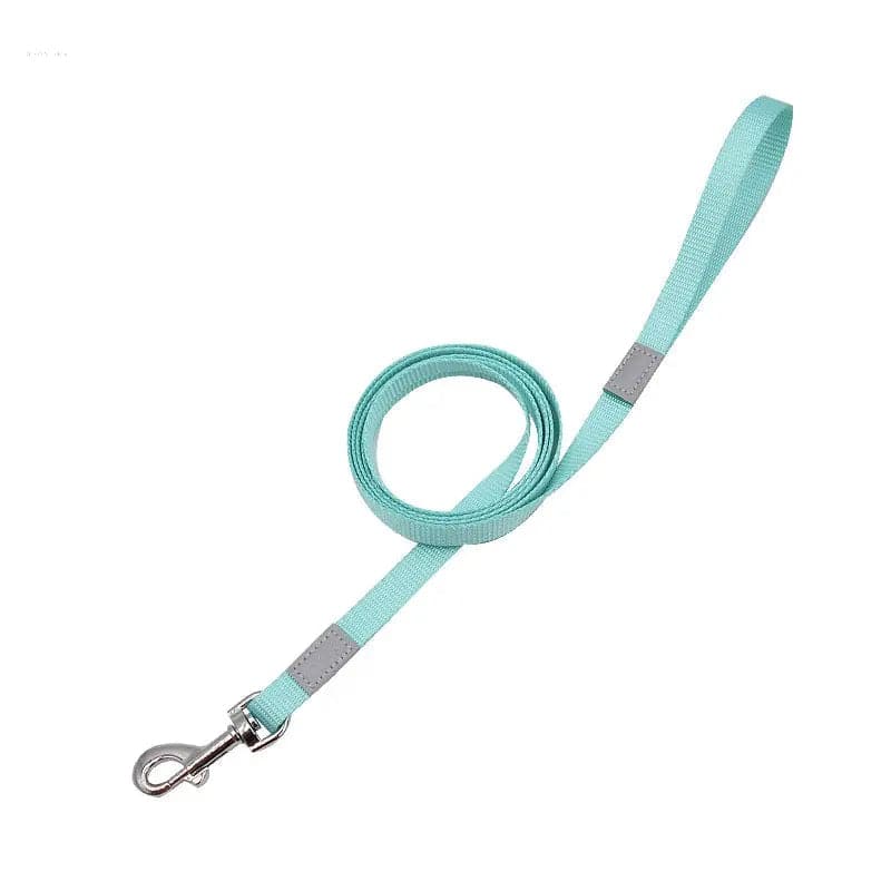 Reflective Colored Dog Leash for Safe and Stylish Walks