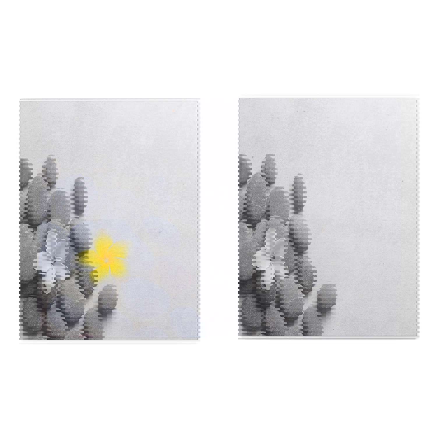 Frangipani and Zen Stones Forest Floral Nature Photography Canvas Wall Art - Ready-to-Hang Home Decor