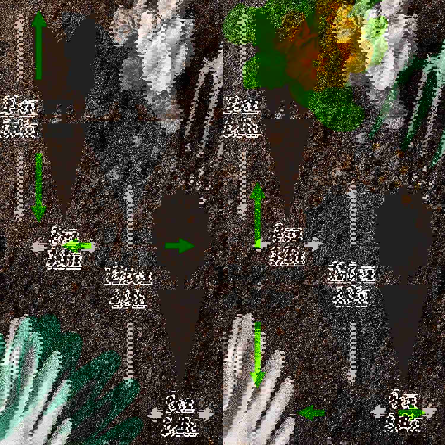 120PCS Sticky Fruit Fly Traps for Indoor & Outdoor Plants - UV Resistant & Waterproof