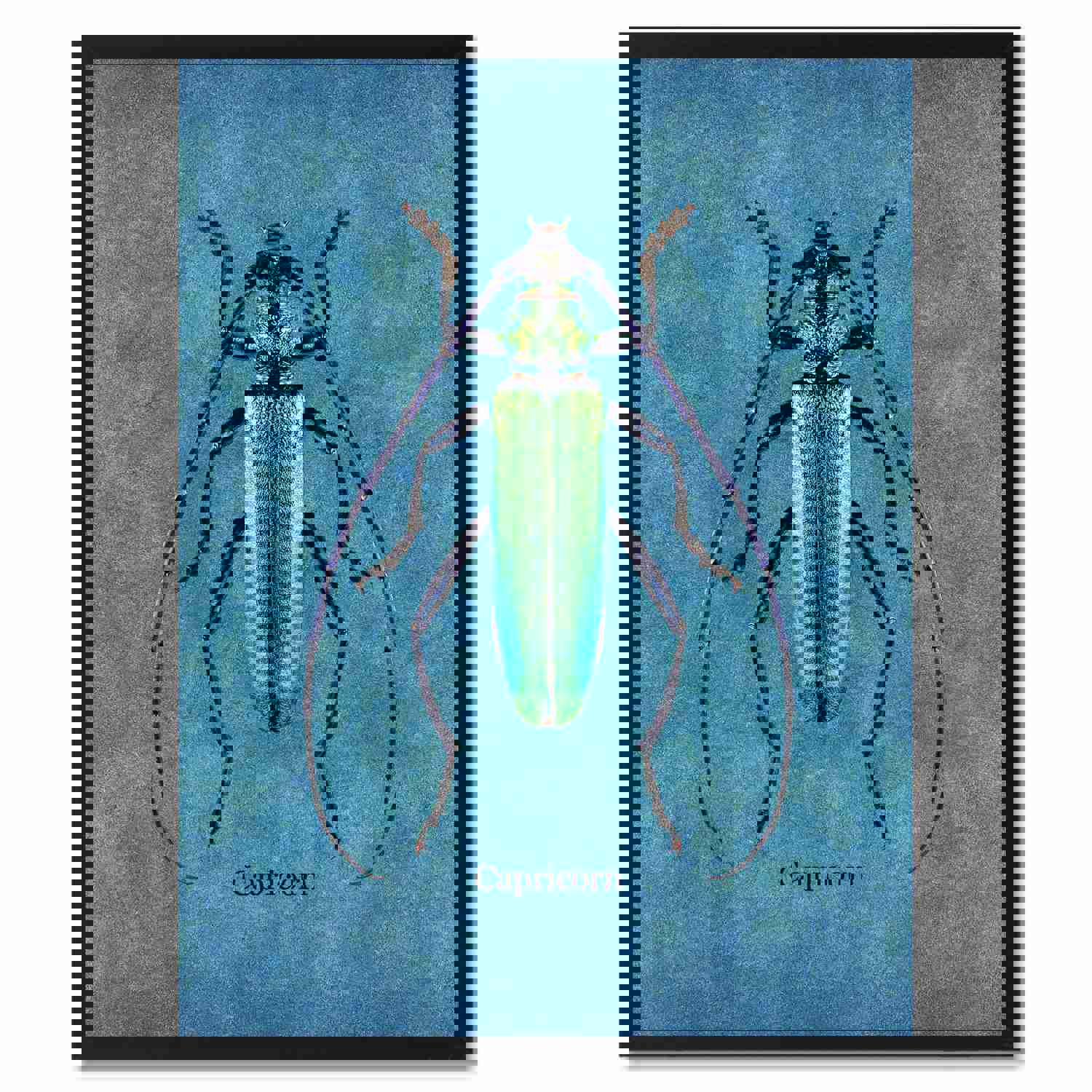 Capricorn Blue Canvas Print - Custom Picture Frames for Home & Office Decor