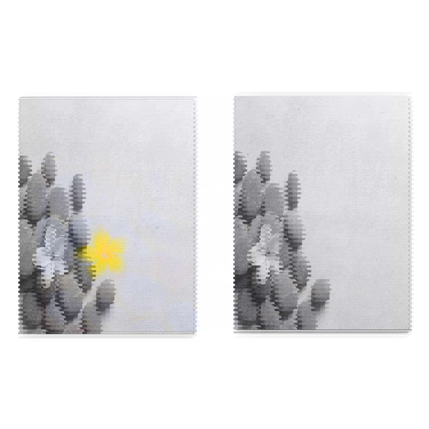 Frangipani and Zen Stones Forest Floral Nature Photography Canvas Wall Art - Ready-to-Hang Home Decor