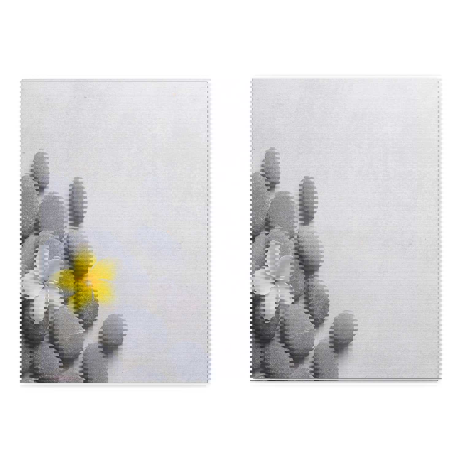 Frangipani and Zen Stones Forest Floral Nature Photography Canvas Wall Art - Ready-to-Hang Home Decor